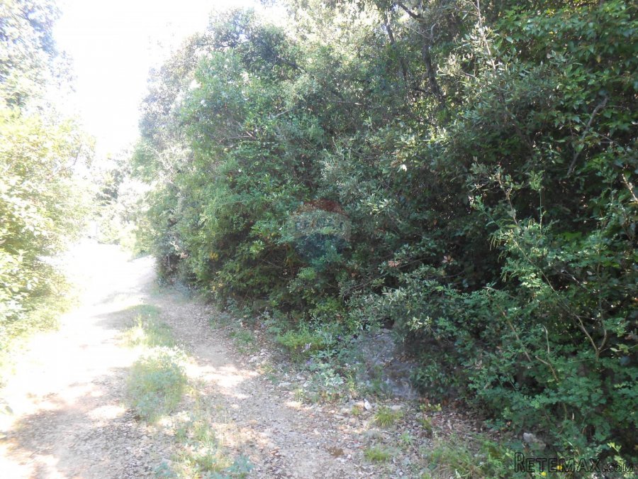 Istra,okolica Peruški, poljoprivredno zemljište uz cestu - 2