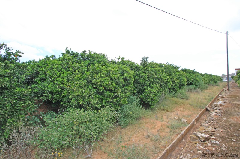 Plot In Denia - 2