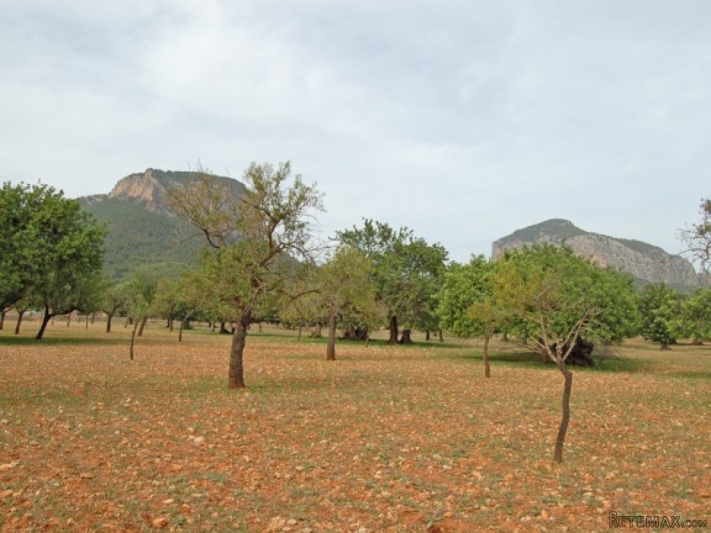 Plot In Superb Location With Mountain.. - 2