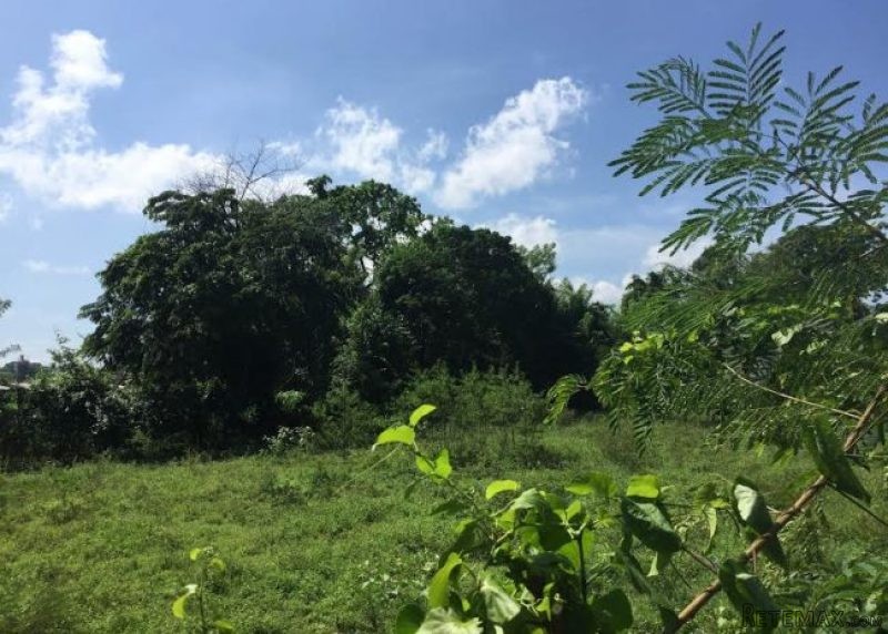 Cabarete Farmland