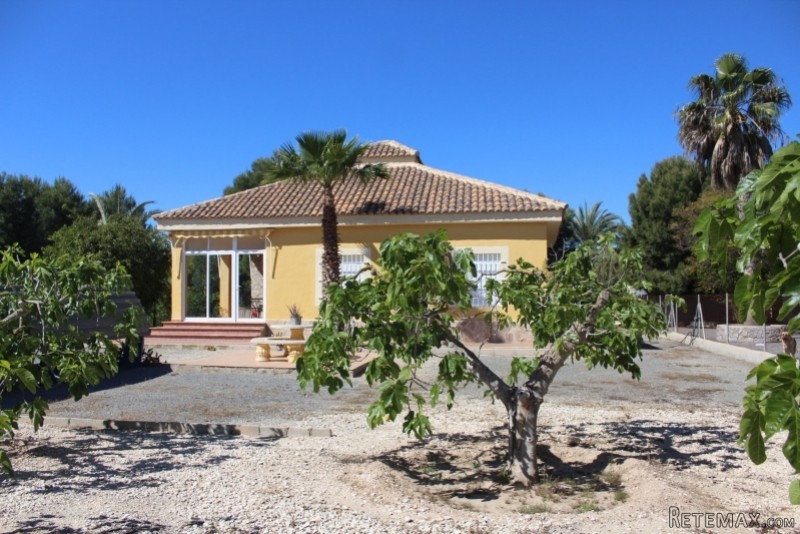 Fantastic Villa In Elche - 2
