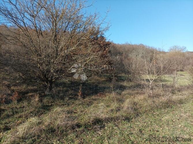 Veliko poljoprivredno zemljište Orič - 2