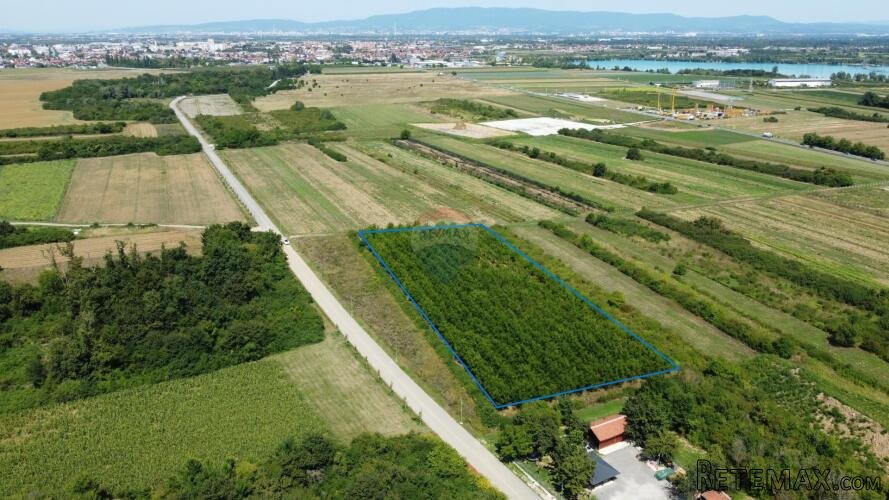 Velika Gorica, Vukovina, poljoprivredno zemljište s plantažn