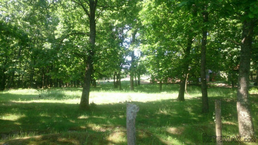 Seosko imanje - 6
