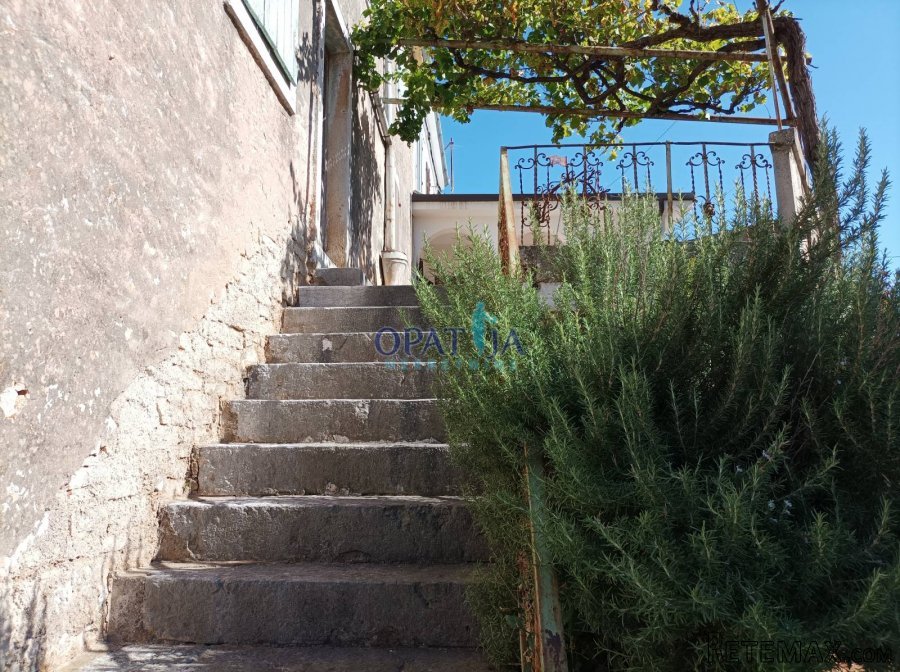 Dvije starine s vrtom blizu Višnjana ! - 3