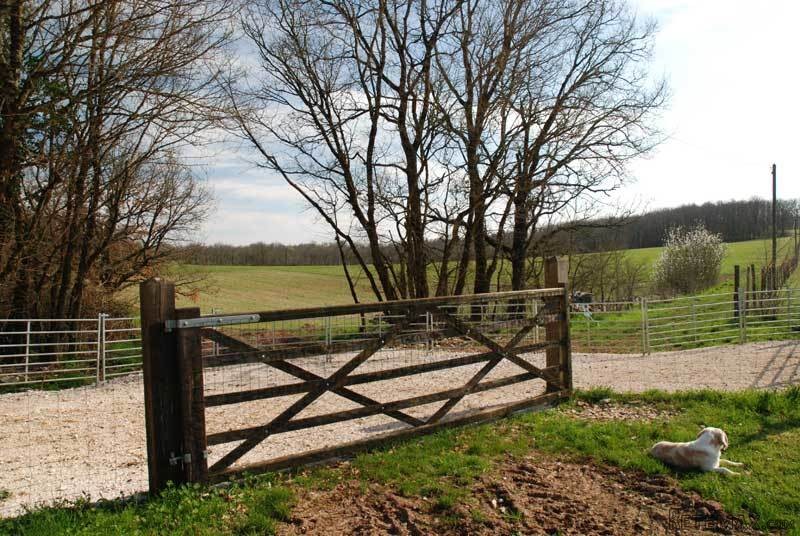 Livestock Farm With 79 Acres - 2