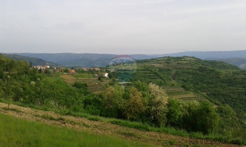 Ruševna kuća s panoramskim pogledom