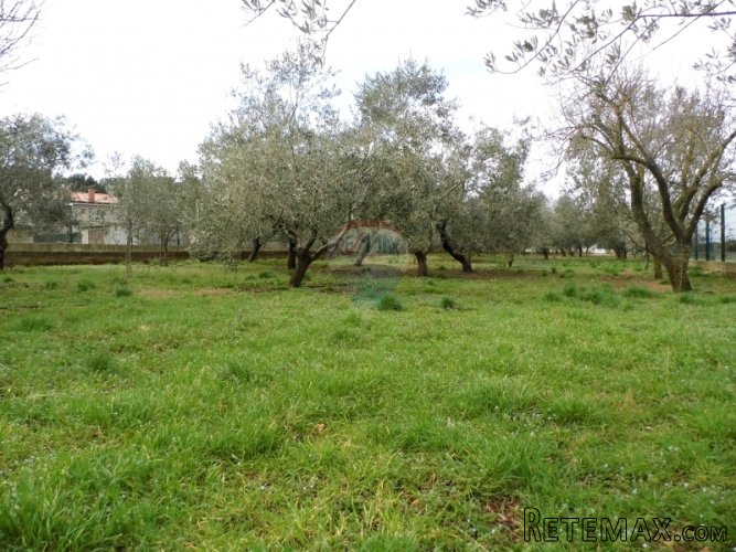 VALDEBEK, GRAĐEVINSKO ZEMLJIŠTE 774 m2 - 3
