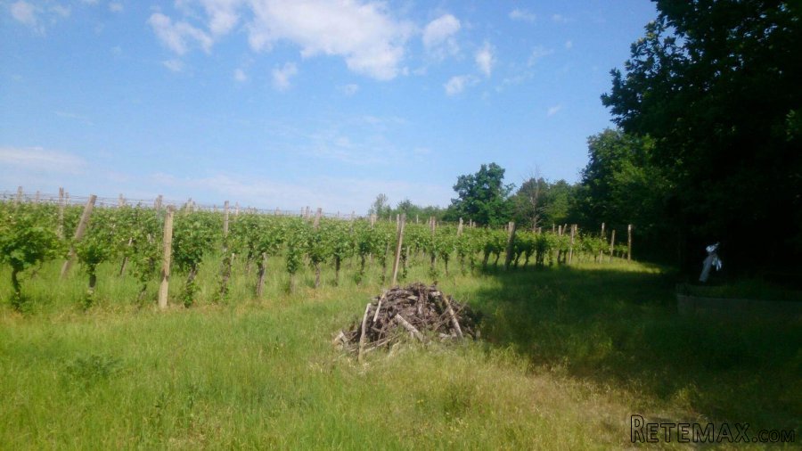 Seosko imanje - 18