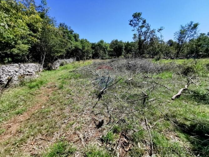 LIpa, poljoprivredno-šumsko zemljište površine 2288m2 - 2