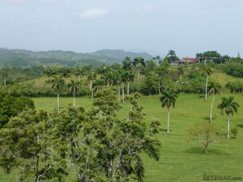 Farm In Jamao For Sale