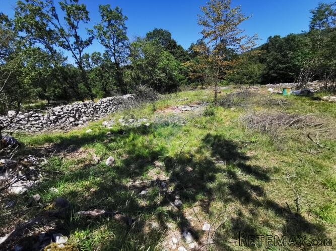 LIpa, poljoprivredno-šumsko zemljište površine 2288m2 - 3