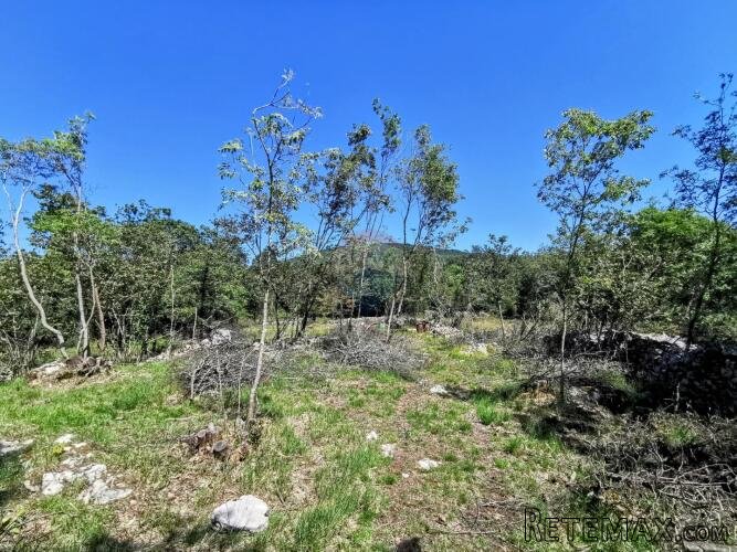LIpa, poljoprivredno-šumsko zemljište površine 2288m2 - 4
