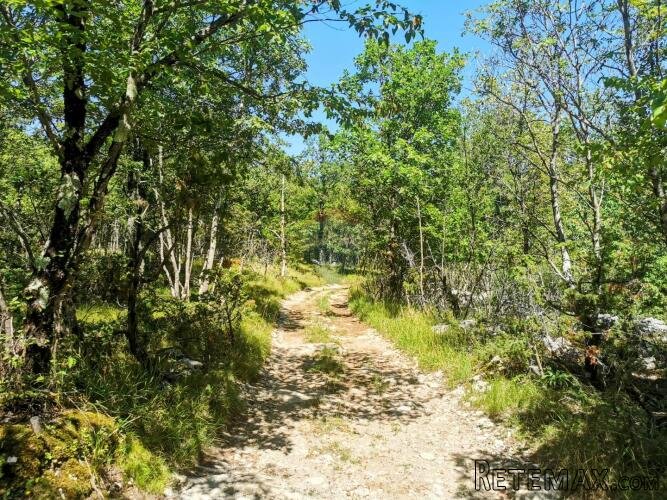 LIpa, poljoprivredno-šumsko zemljište površine 2288m2 - 7