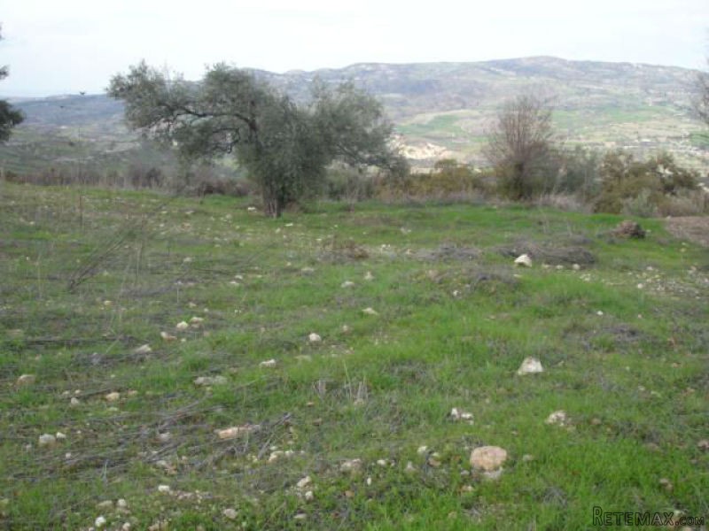 Land - Paphos - For Sale