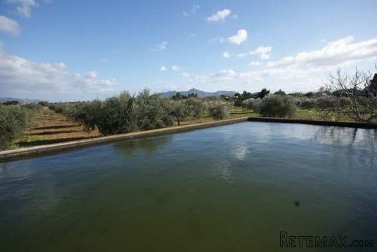 Country home in great location in Pollensa, rustic.. - 4