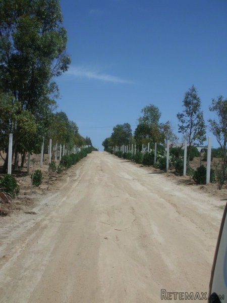 terrain loti de 233 m2