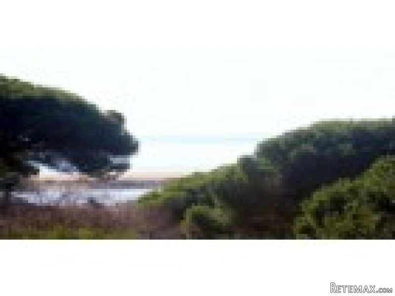 Large building plot with sea views.. - 2