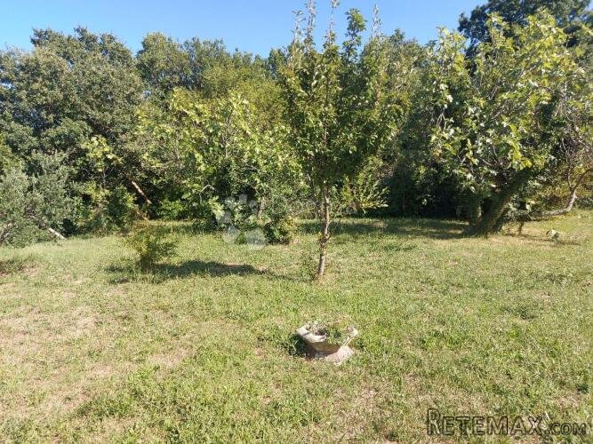 Prekrasno imanje u vinodolskom kraju - 8