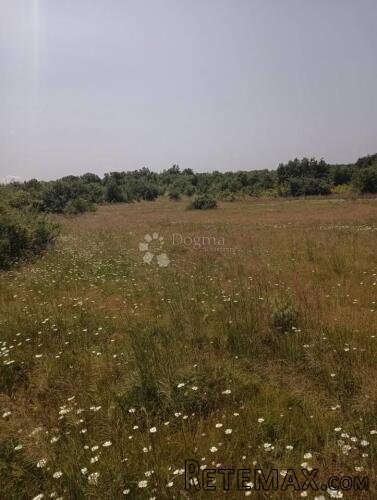 Poljoprivredno Zemljište 47760m2 - Krmed