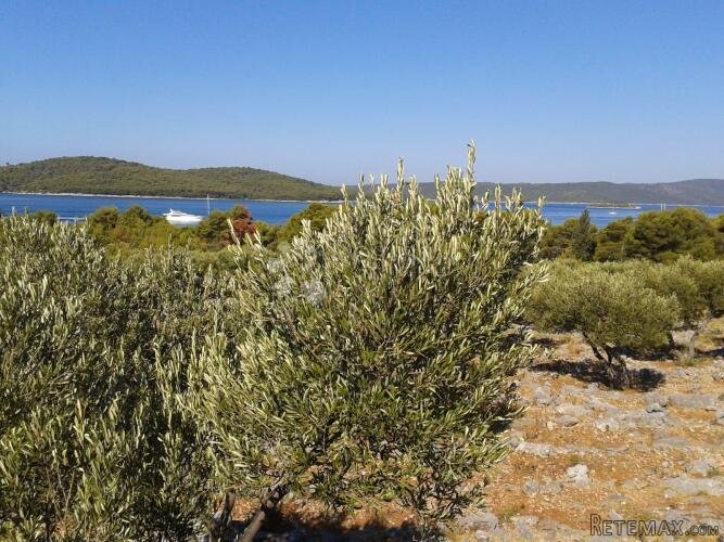 T2 ZONA MILNA, BRAČ 17699m2 - 2