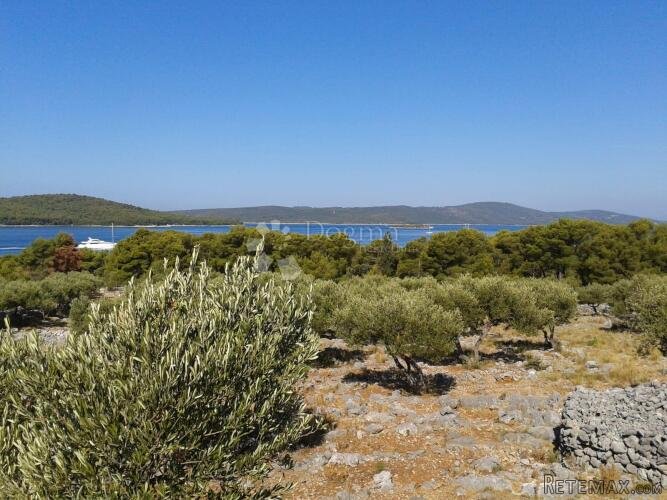 T2 ZONA MILNA, BRAČ 17699m2 - 3