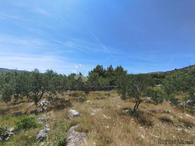 Poljoprivredno zemljište Marina -6000m2 - 2