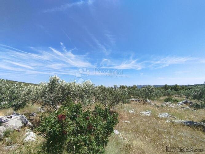 Poljoprivredno zemljište Marina -6000m2 - 3