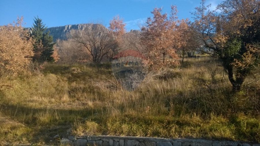 Bribir, građevinski teren od 1800m2 na odličnoj lokaciji! - 7