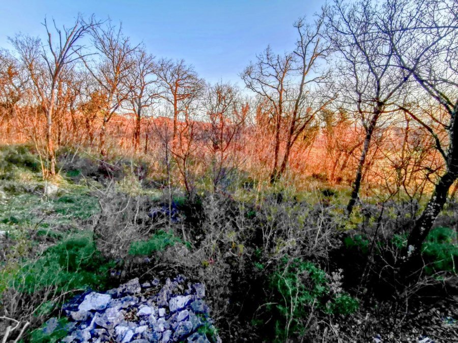 Krasica, poljoprivredno zemljište cca. 2500m2 - 2