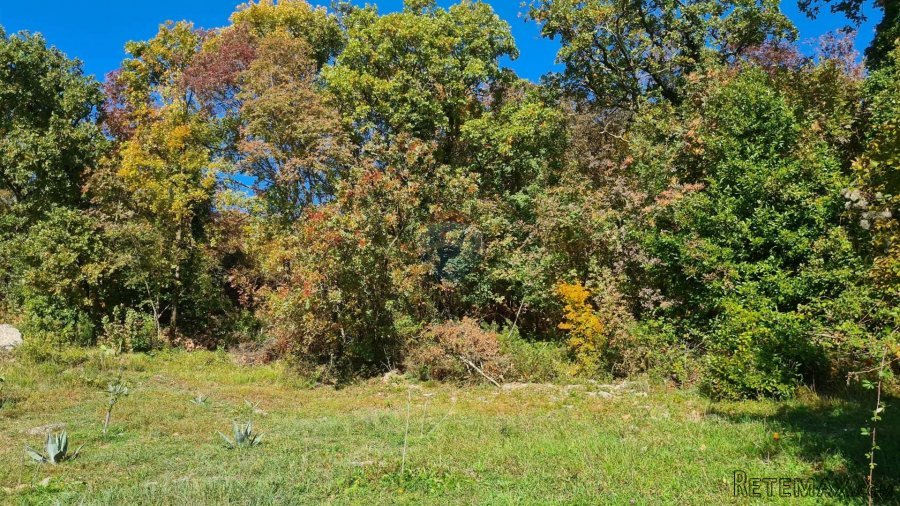 Matulji, Pavlovac, građevinski teren površine 19.700 m2 - 2