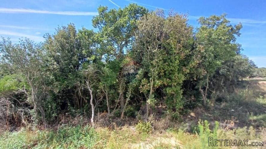 Istra,Barbariga-građevinsko zemljište u blizini mora - 3