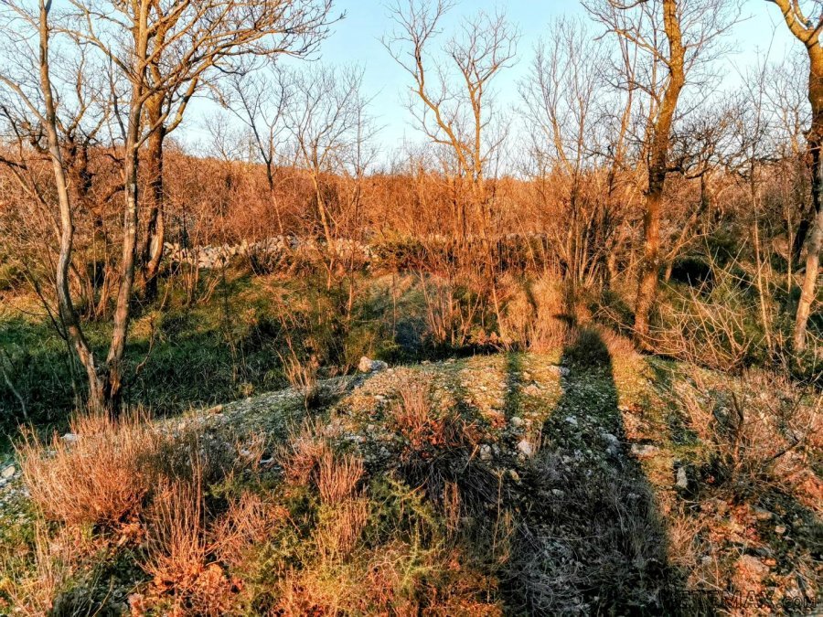 Krasica, poljoprivredno zemljište cca. 2500m2 - 3