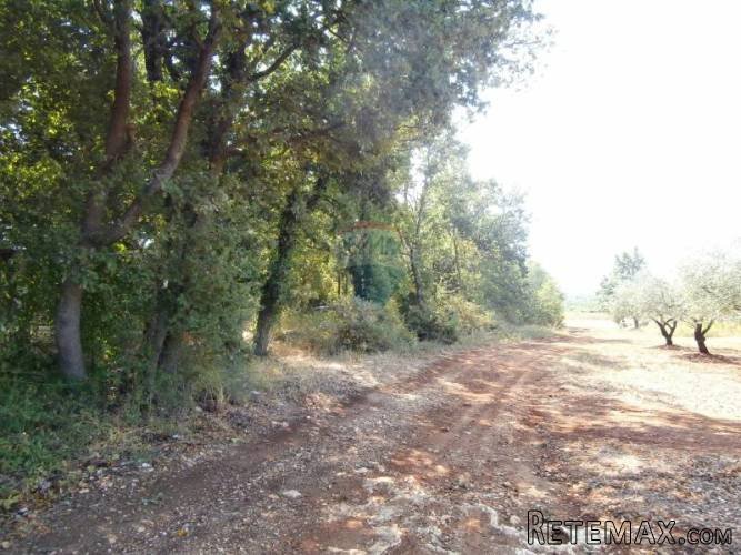 POREČ, okolica- građevinsko zemljište - 4