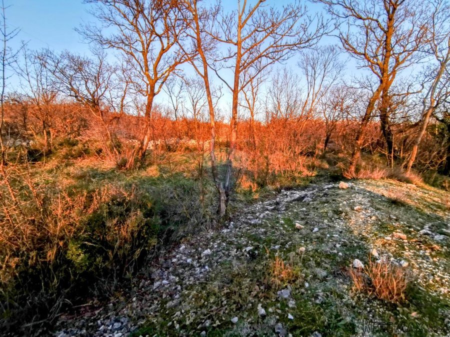 Krasica, poljoprivredno zemljište cca. 2500m2 - 4