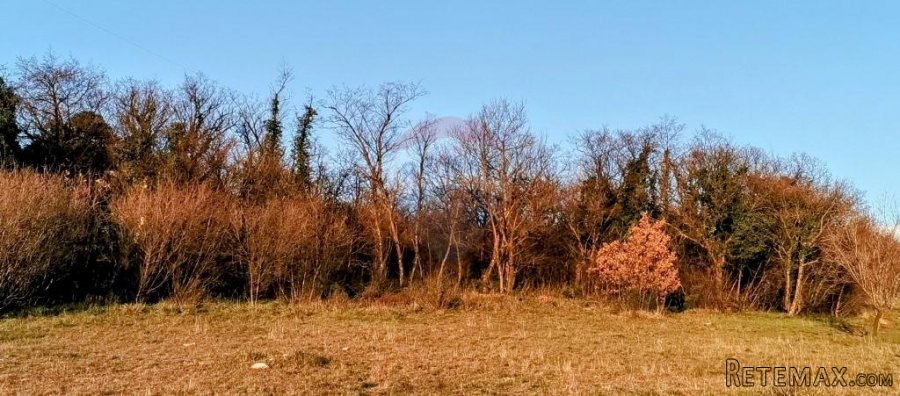Krasica, poljoprivredno zemljište cca. 2500m2 - 5
