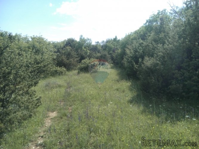 ISTRA, PINEZIĆI POLJOPRIVREDNO ZEMLJIŠTE