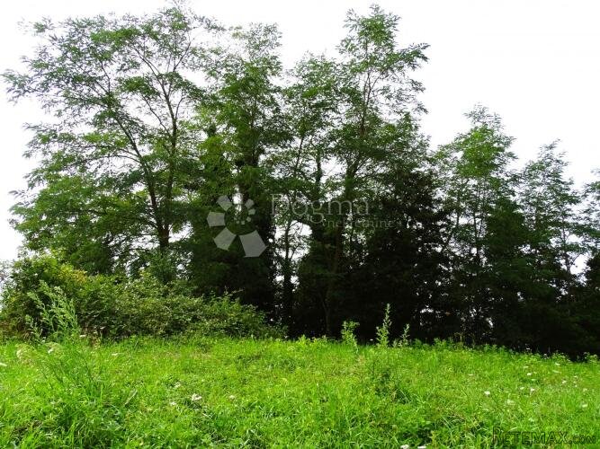 Višnjan, okolica - teren za kuću - 2