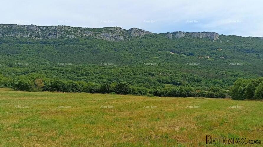 Građevinsko zemljište 1.650 m² – Buzet, Istra