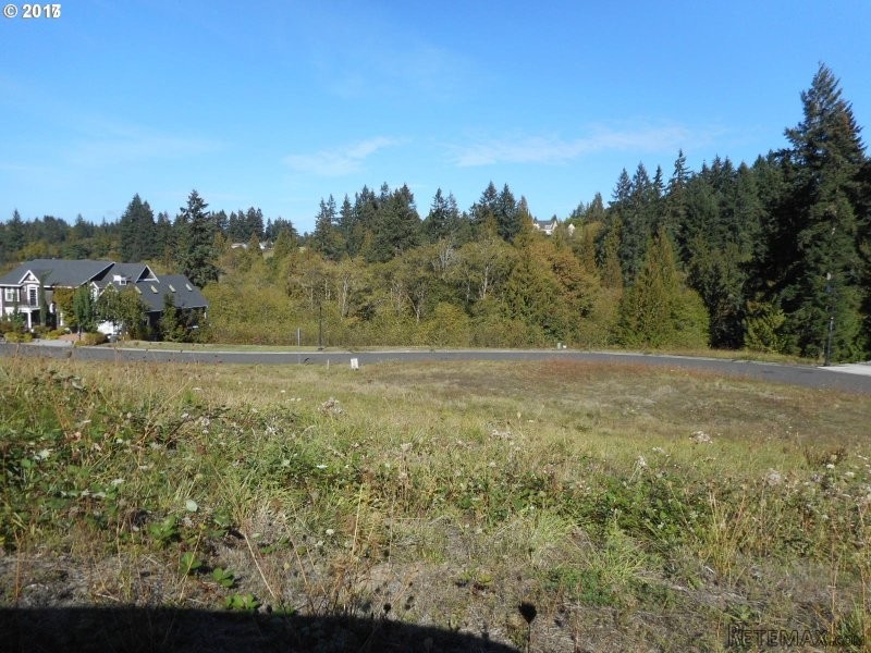 6019 NW 269 ST, Ridgefield, Washington.. - 2