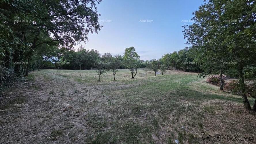 TINJAN - Građevinsko zemljište 3.623 m²
