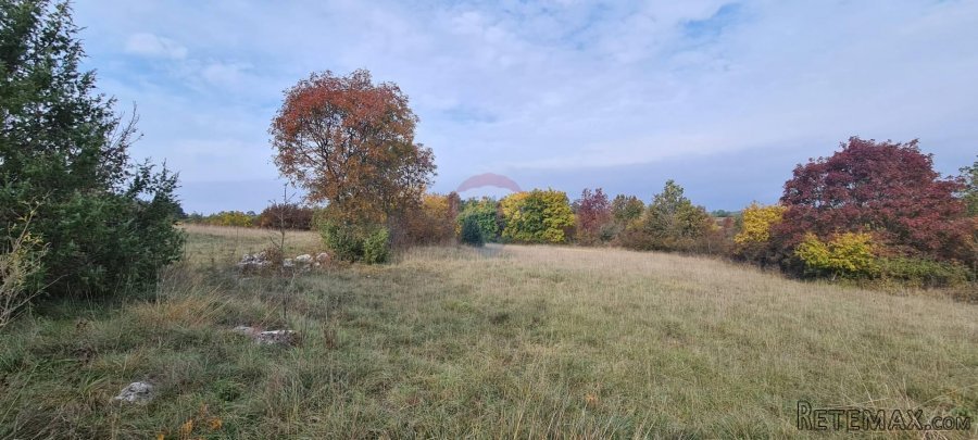 Građevinsko zemljište grožnjan - 7