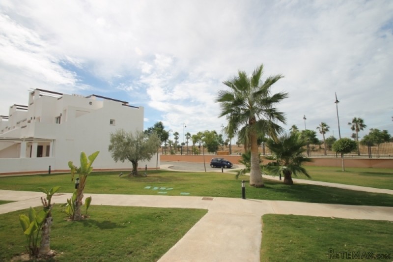 3 Bedrooms - Apartment - Murcia - For..