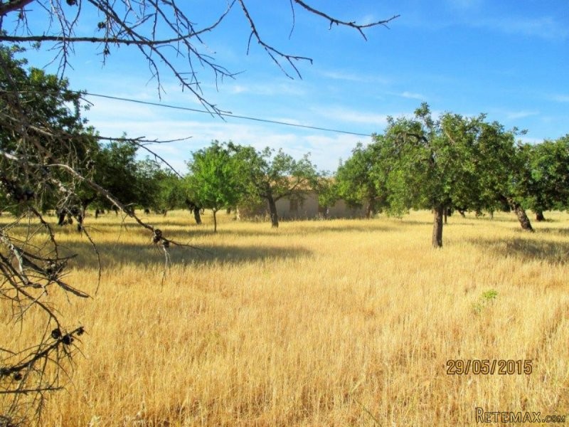 Amazing plot in prime location in Alaro - 2