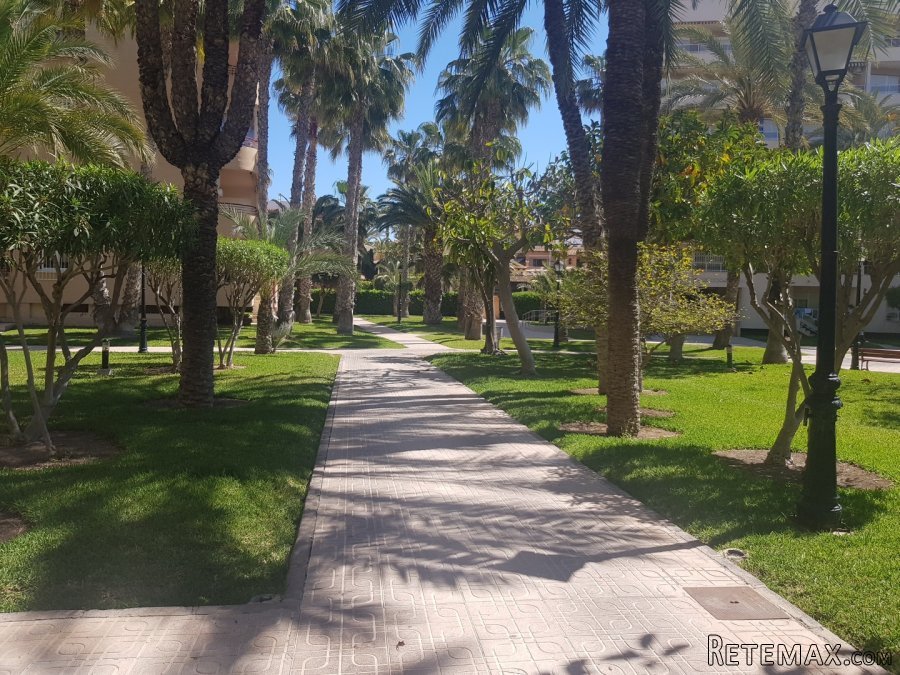 La casa tiene la entrada a 5m. de la playa pero no tiene.. - 3