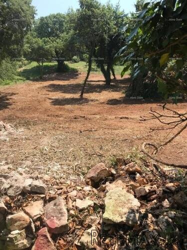 Građevinsko zemljište 1.137 m² – Filipana