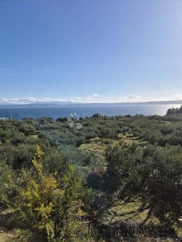 Jedinstveno građevinsko zemljište u Podgori — 6.356 m² blizu - 3