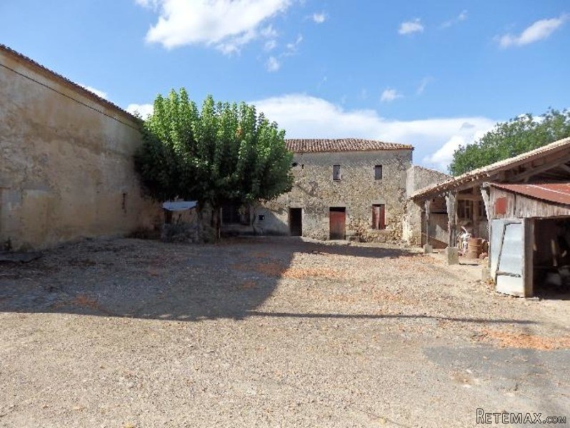 Vineyard For Sale