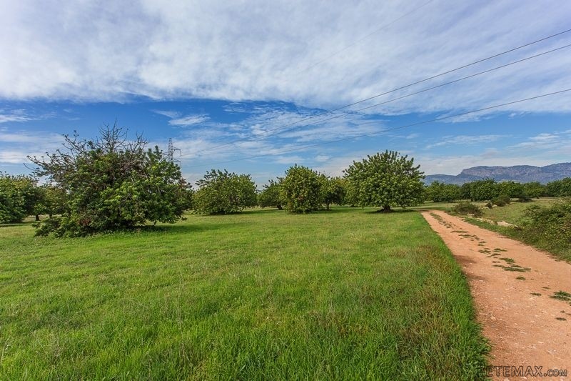 Land For Sale: Palma De Mallorca, Islas..