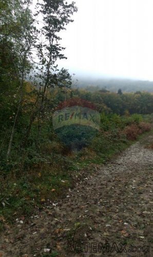 Plemenitaši poljoprivredno zemljište - 3